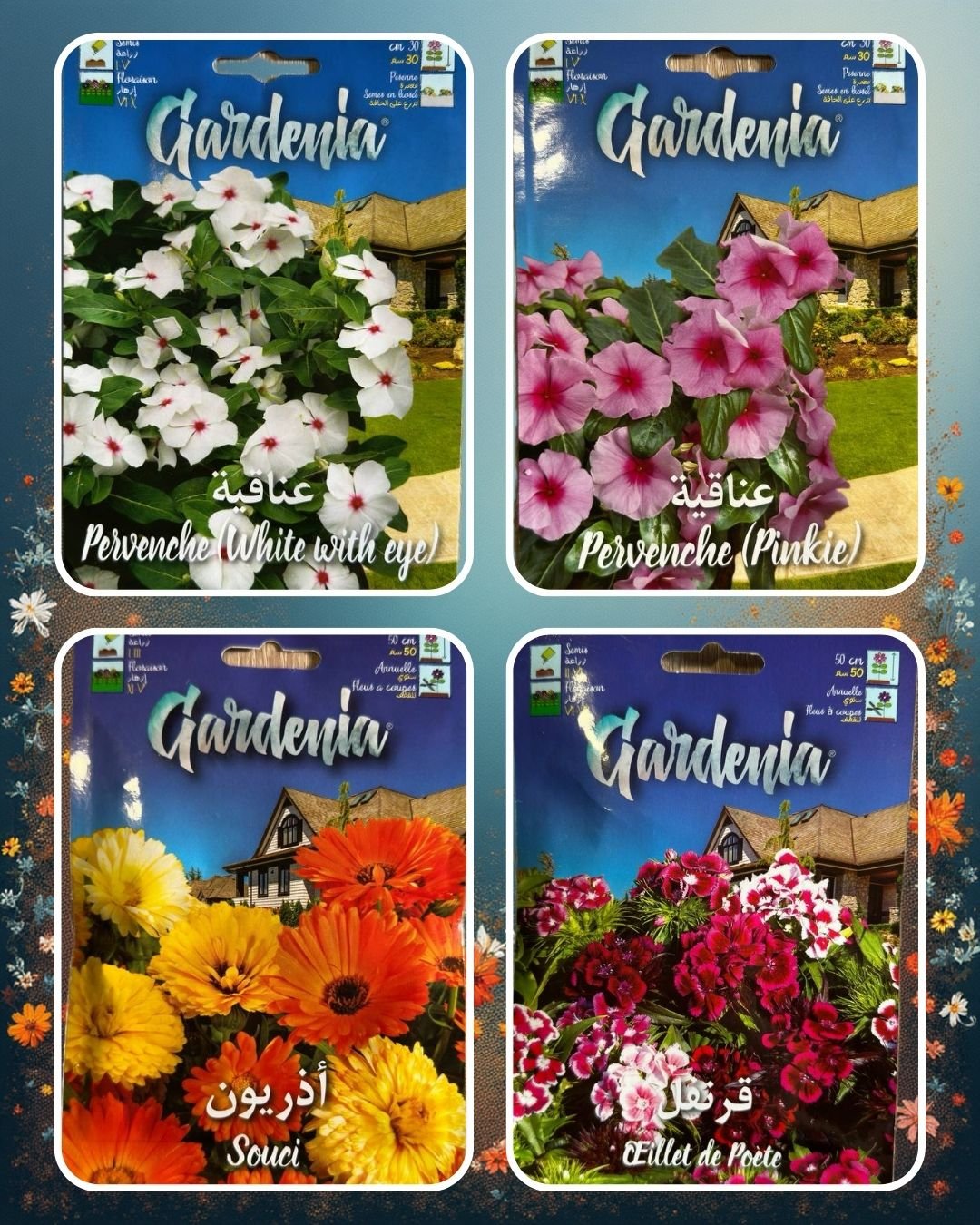 PACK - عرض 4 أكياس