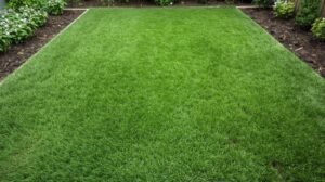 الباقة العادية - 80م²