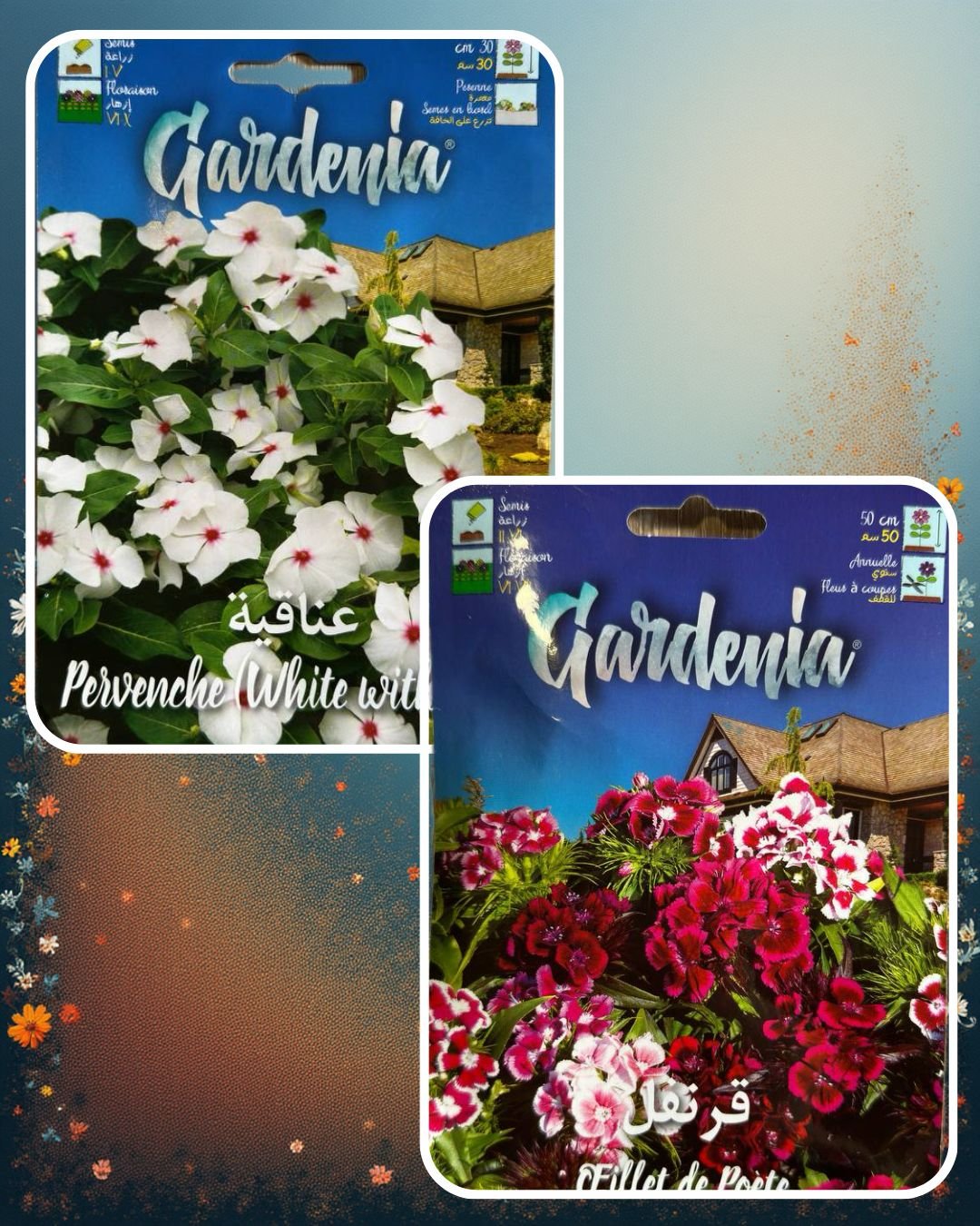 Mini Pack - عرض كيسين