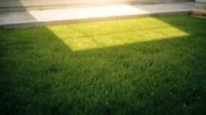 الباقة المبتدئة - 40م²