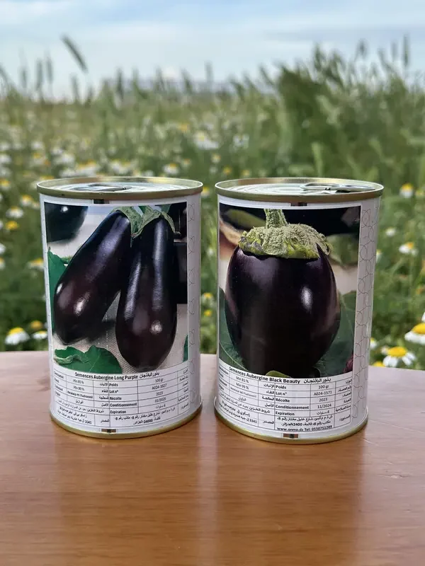 باذنجان بلاك بيوتي